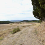 1 A vendre domaine carcassonne aude gites touristiques avec terres te koop A