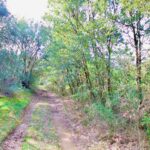 Villelongue